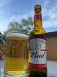 Budweiser.5.png